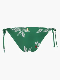 Brazil Bottom