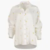 Button Down Shirt