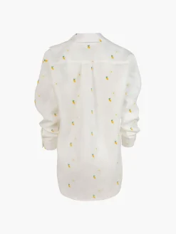 Button Down Shirt