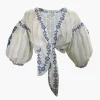 Chicory Top