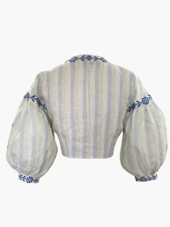 Chicory Top