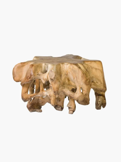 85cm Coffee Table Teak Root