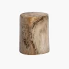 50cm Fossilized Wood Log