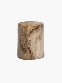 50cm Fossilized Wood Log
