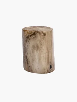 50cm Fossilized Wood Log