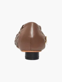 Cruziana Flat