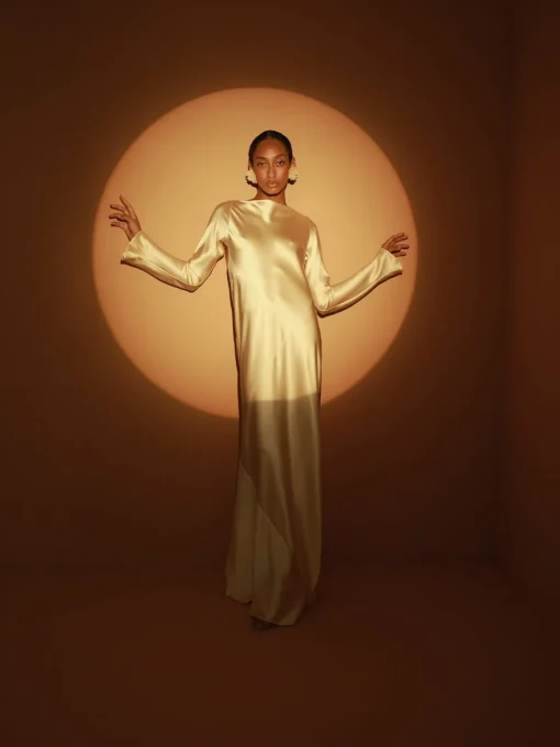 Fenix Long Sleeve Maxi Dress