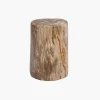 Fossilized Wood Log