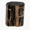 Fossilized Wood Log