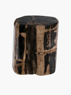 Fossilized Wood Log