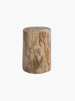 Fossilized Wood Log