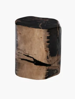 Fossilized Wood Log