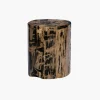 Fossilized Wood Trunk With Black Betas
