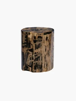Fossilized Wood Trunk With Black Betas