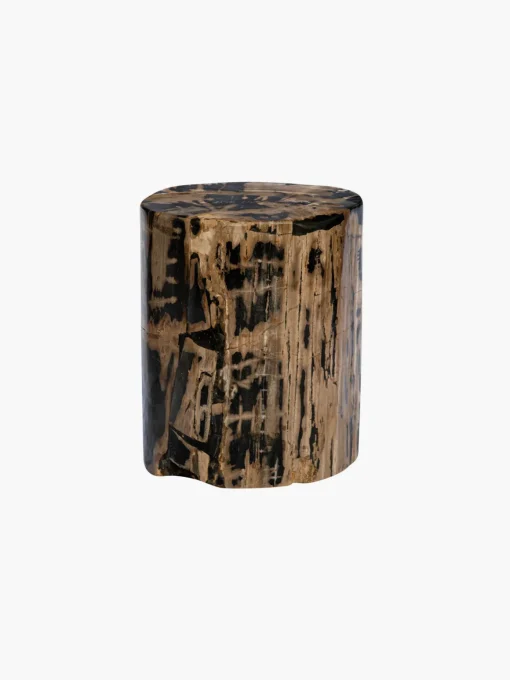 Fossilized Wood Trunk With Black Betas