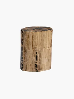 Fossilized Wood Trunk With Black Betas