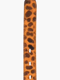 Gaia Belt