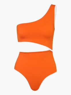 Galapago One Piece
