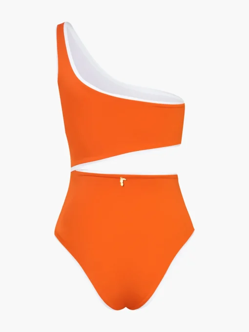 Galapago One Piece
