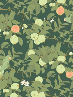 Guayaba Wallpaper