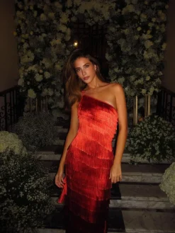 Isidora Fringe Dress