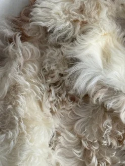 Mason Coat