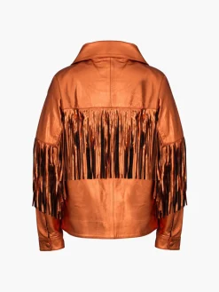 Taylor Jacket