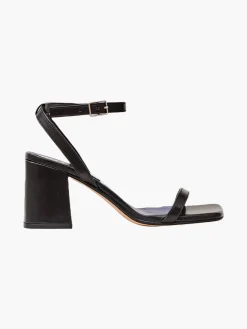 The Elevated Essential