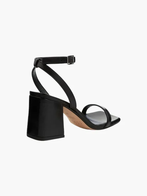 The Elevated Essential