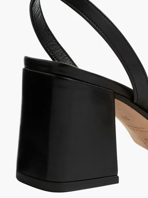 The Elevated Essential