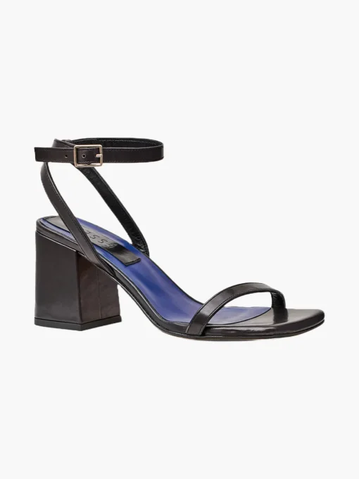 The Elevated Essential