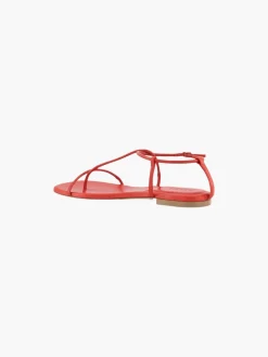 The Evening Sandal