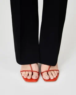 The Strappy Sandal