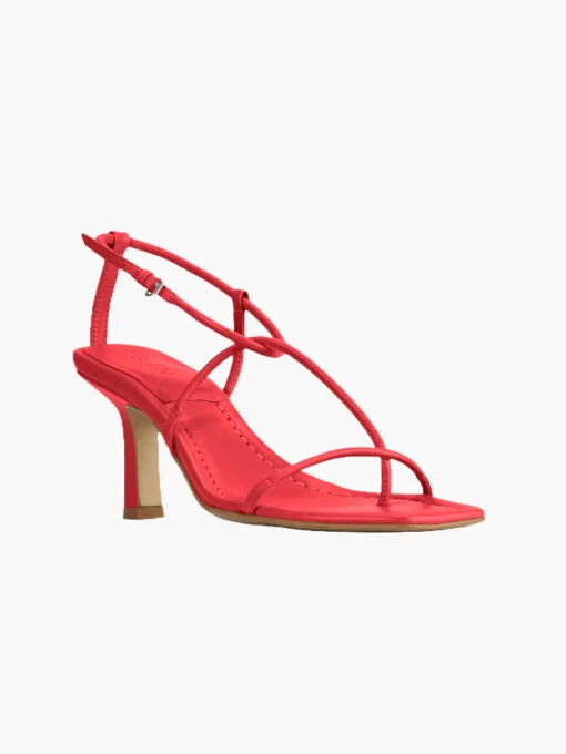 The Strappy Sandal